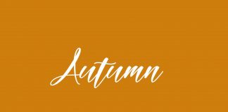 Ya comenzó una de las épocas favoritas de la gente y estas tipografías de otoño le darán a tus gráficos ese sentimiento acogedor que nos encanta.