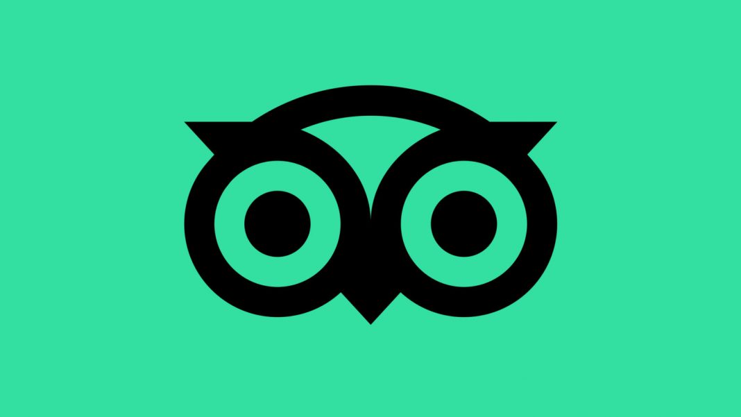 Nuevo Logo TripAdvisor