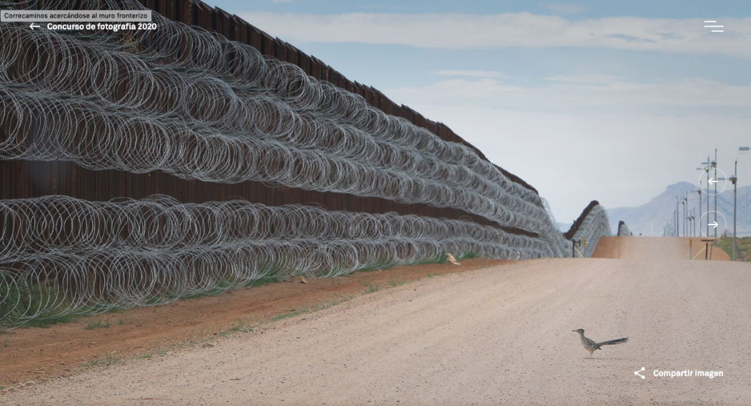 fotógrafo mexicano World Press Photo 2020