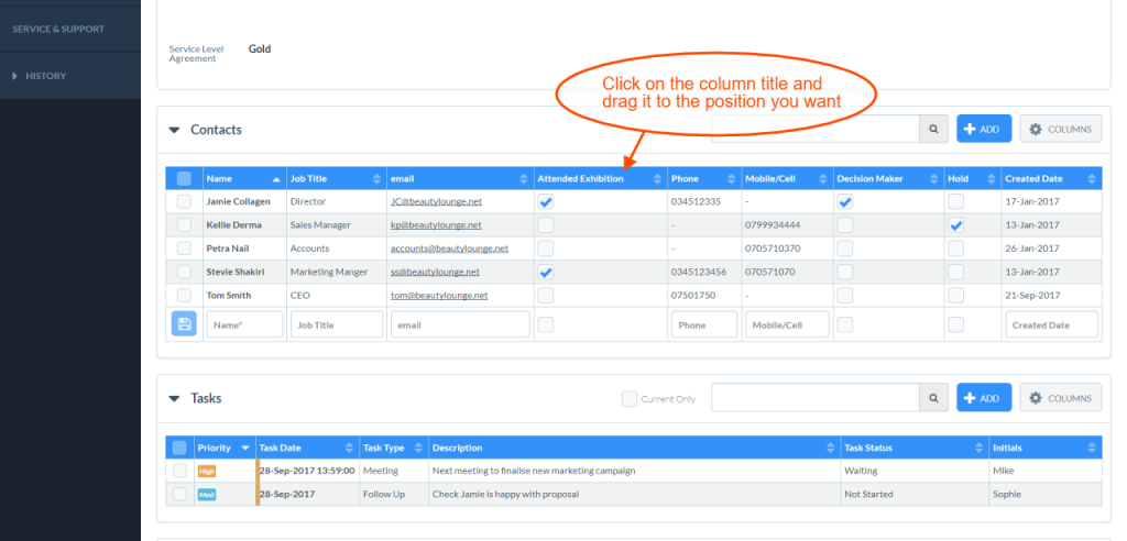 Custom CRM Columns example