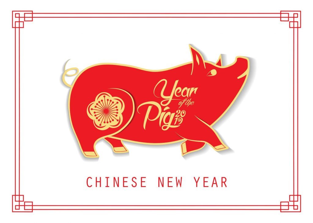 Chinese New Year - Year of the Pig