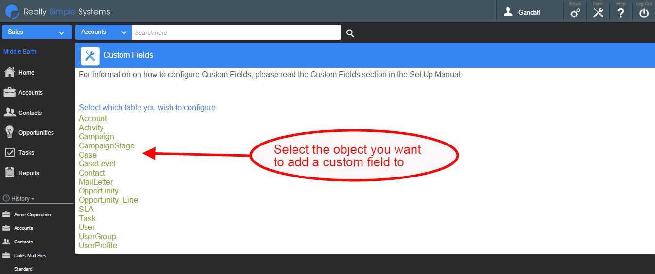 Custom Field3 - Spotler CRM Support