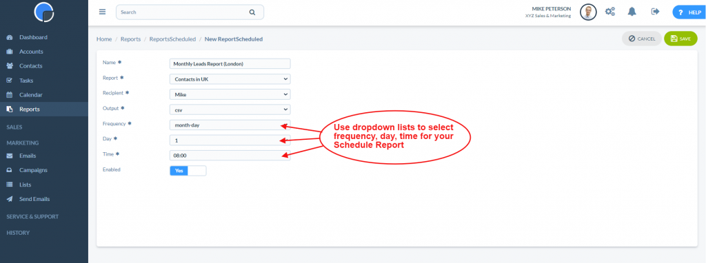 Set options for scheduled report