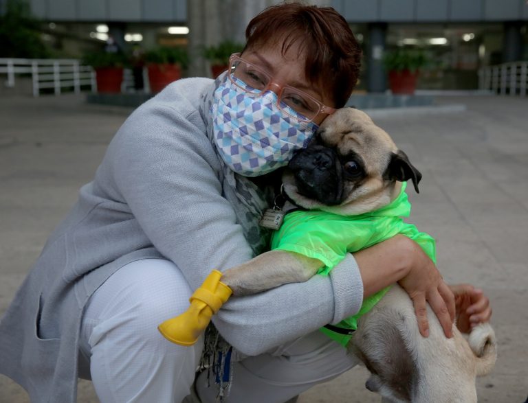 ¿Ya conoces al terapeuta canino que combate el estrés en médicos del ISSSTE?