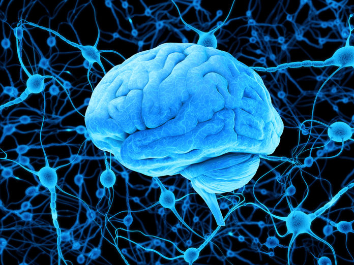 ¿Los Trastornos cerebrales genéticos son heredables?