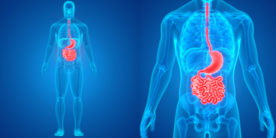 ¿Cuáles enfermedades estomacales afectan la salud de los mexicanos?