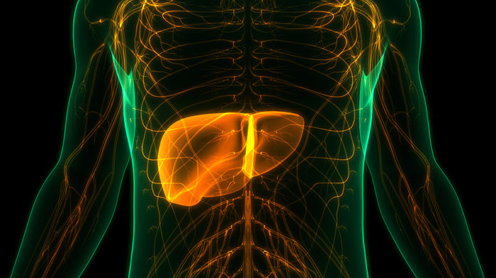 El hígado graso vulnera silenciosamente la salud