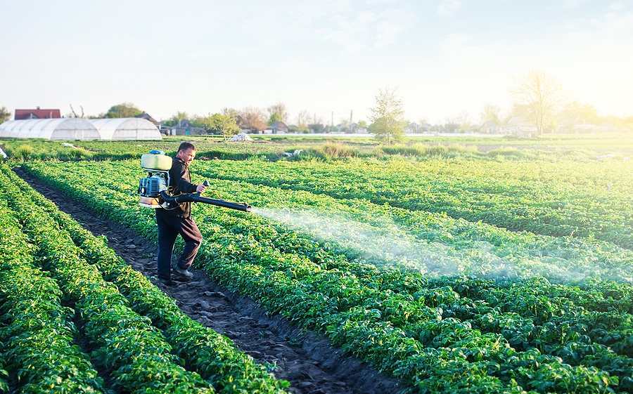 ¿Qué efectos tienen los pesticidas en la salud humana?