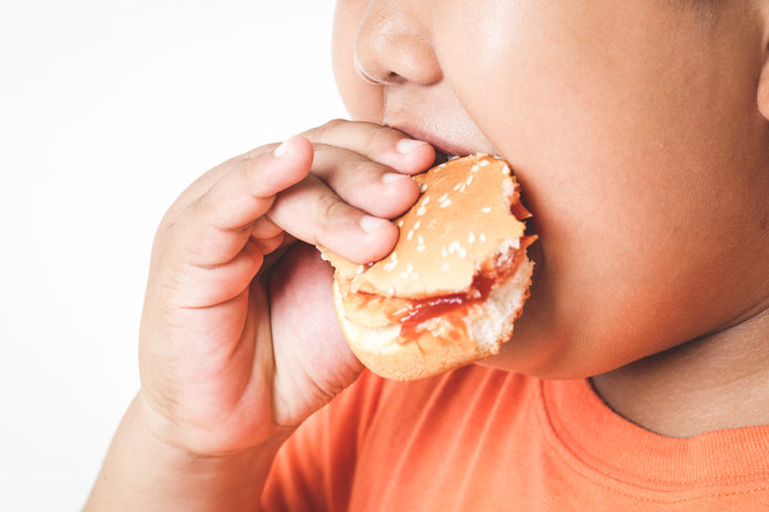 Obesidad infantil un verdadero fenómeno no saludable