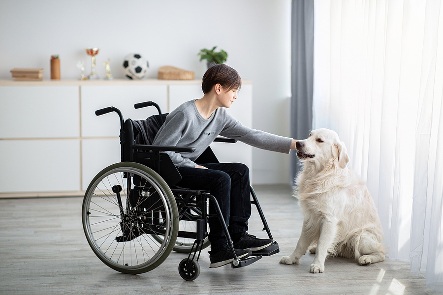 Terapias con animales, qué son y en qué casos se utiliza