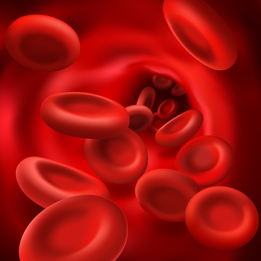 La anemia es una enfermedad sanguínea frecuente en los niños