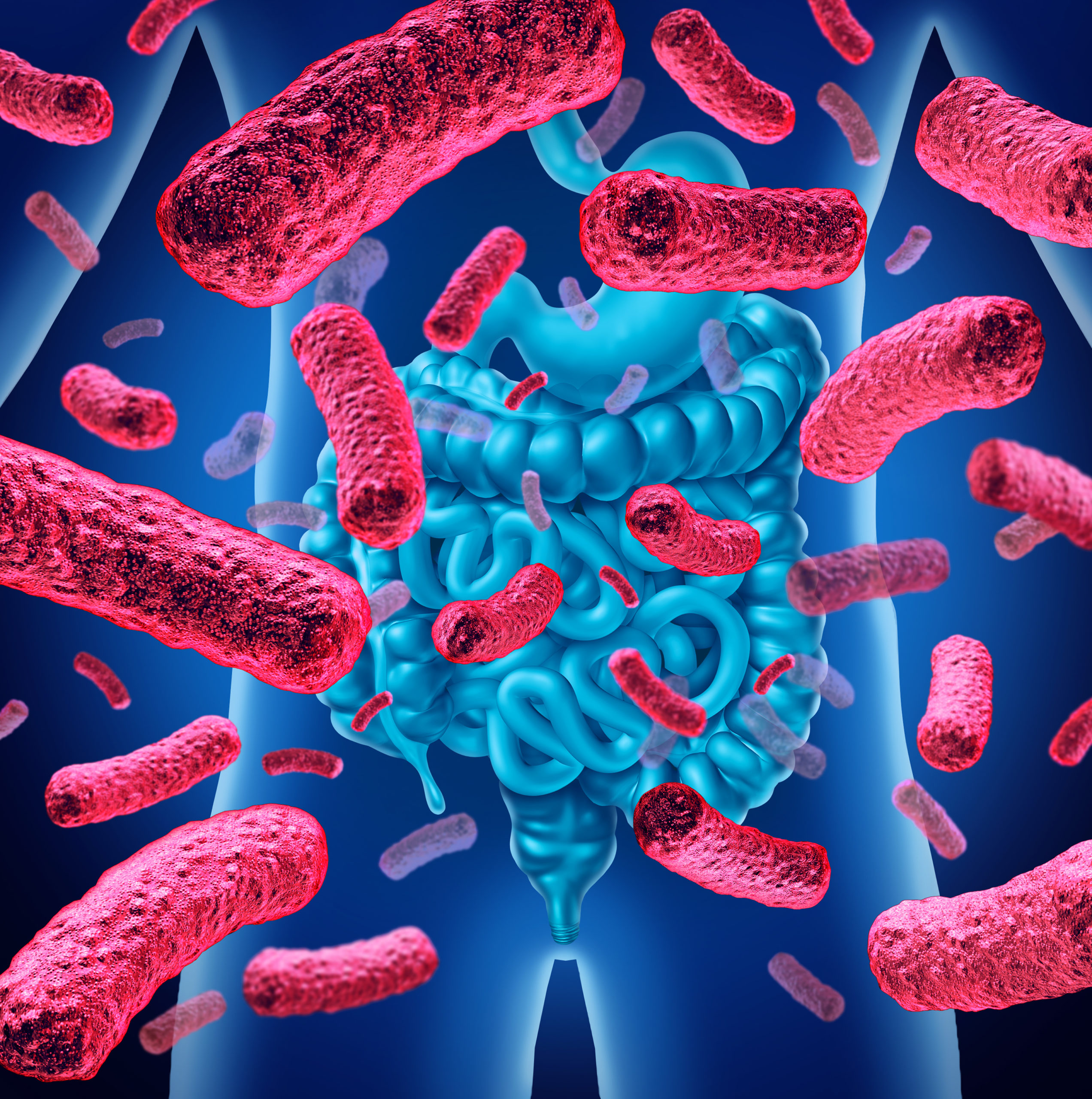 Influencia De Las Bacterias Intestinales En Nuestras Emociones 2718