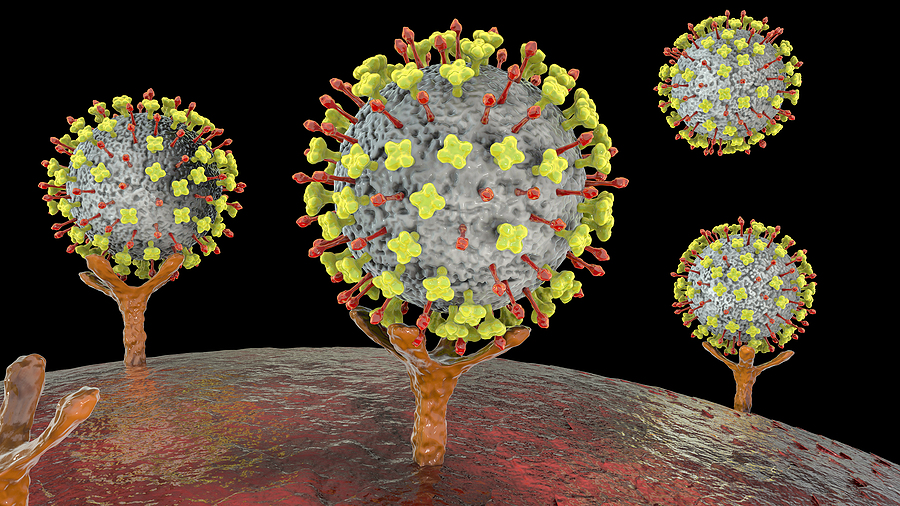 Virus Nipah