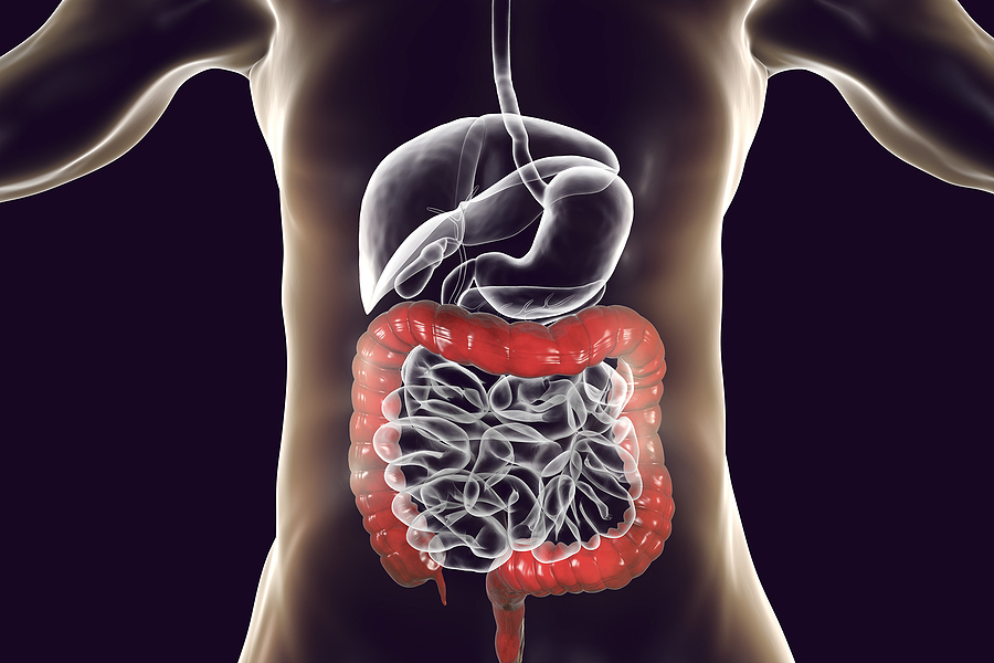 Impacto del estrés en el sistema digestivo