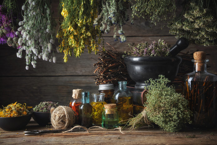 México es uno de los líderes mundiales en uso de plantas medicinales