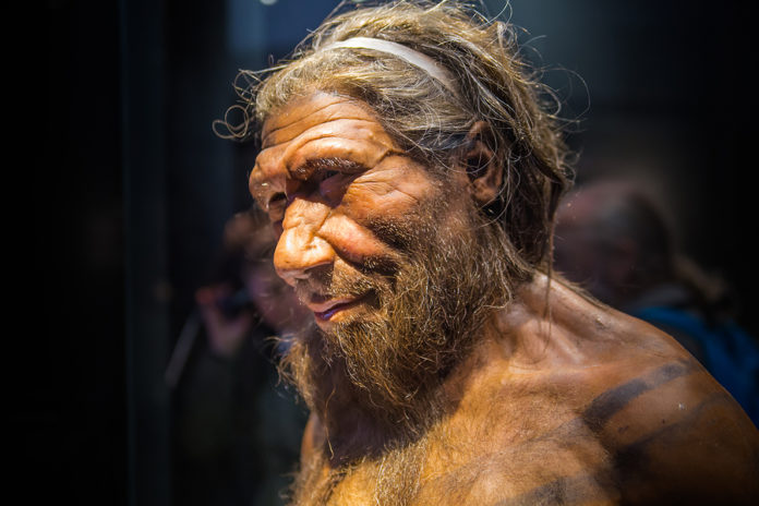 Virus Papiloma Humano neandertales