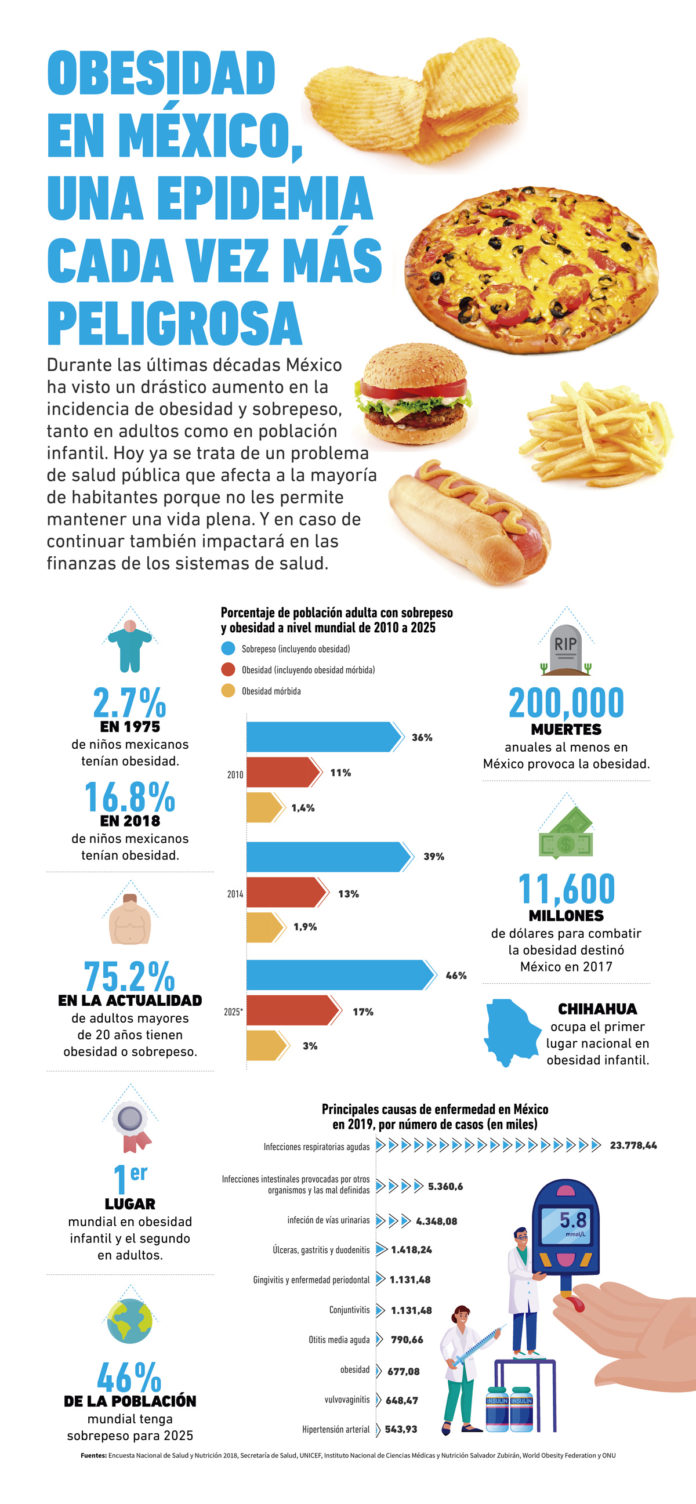 obesidad problema salud pública