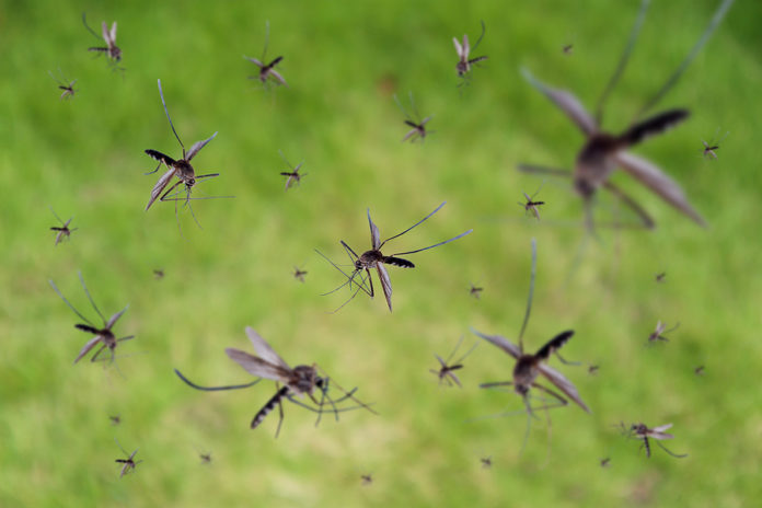 Enfermedad Chagas muerte súbita