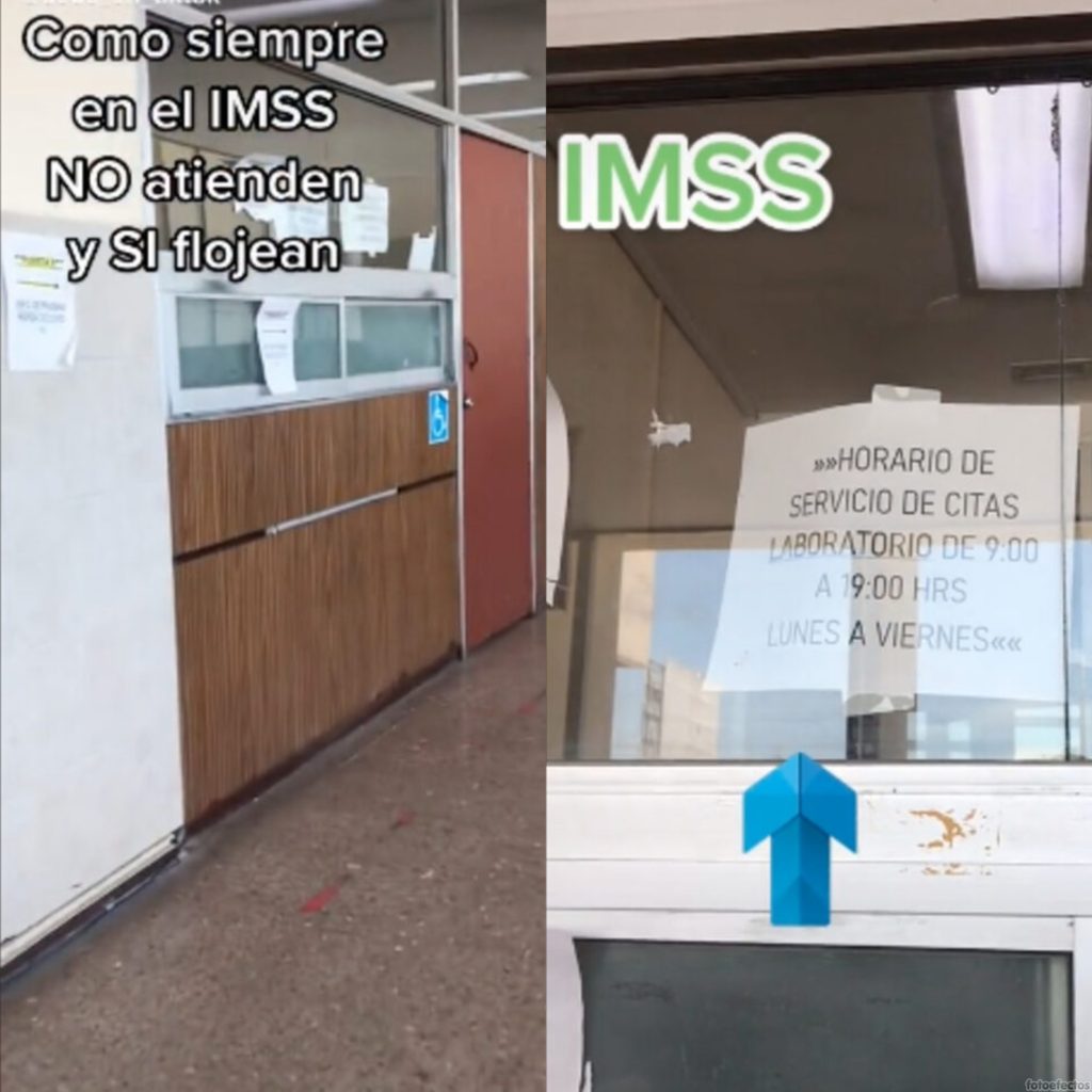 trabajadores IMSS