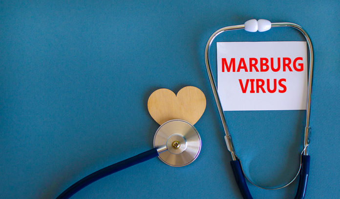 virus de Marburgo