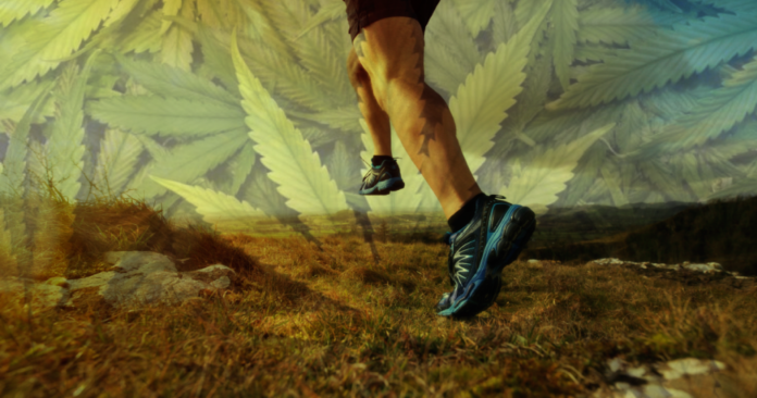 cannabis deporte