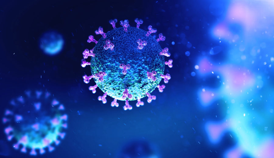 Nuevo coronavirus SARS-CoV-2