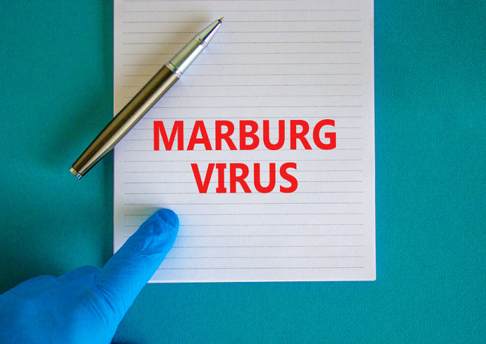 virus Marburgo