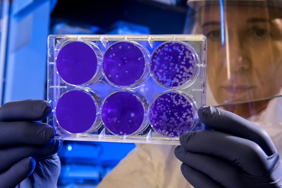 Stem cell treatments, are they really effective? Stem cell treatments, are they really effective?