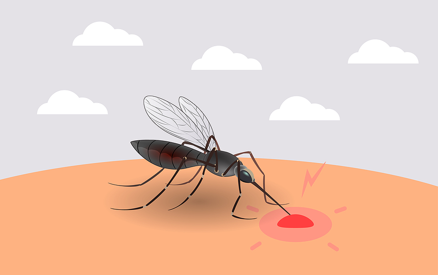 Dengue: Principales síntomas y formas para prevenir contagios