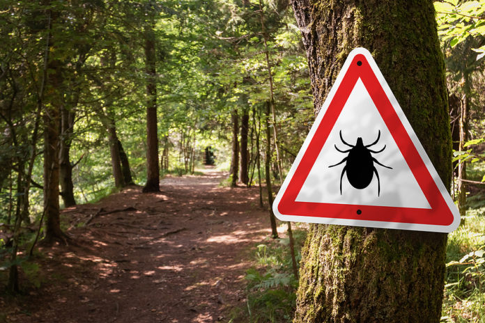 Firma francesa crea vacuna contra la enfermedad de Lyme