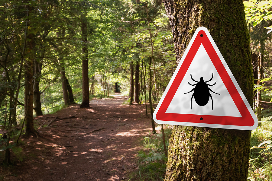 Firma francesa crea vacuna contra la enfermedad de Lyme