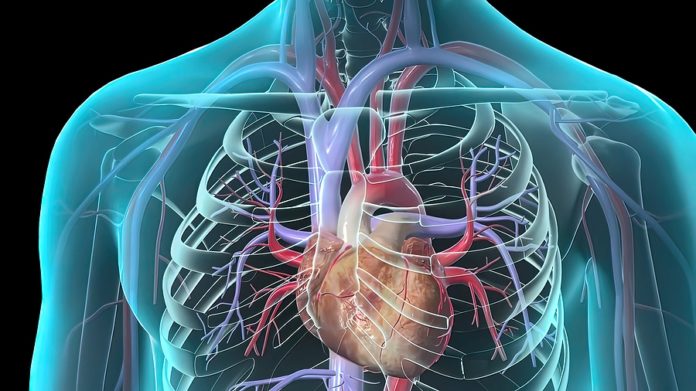 enfermedades cardiovasculares