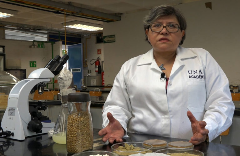 UNAM propone el consumo de nutracéuticos para combatir la obesidad