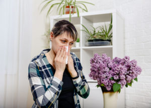 Cambio climático puede provocar alergías por polen