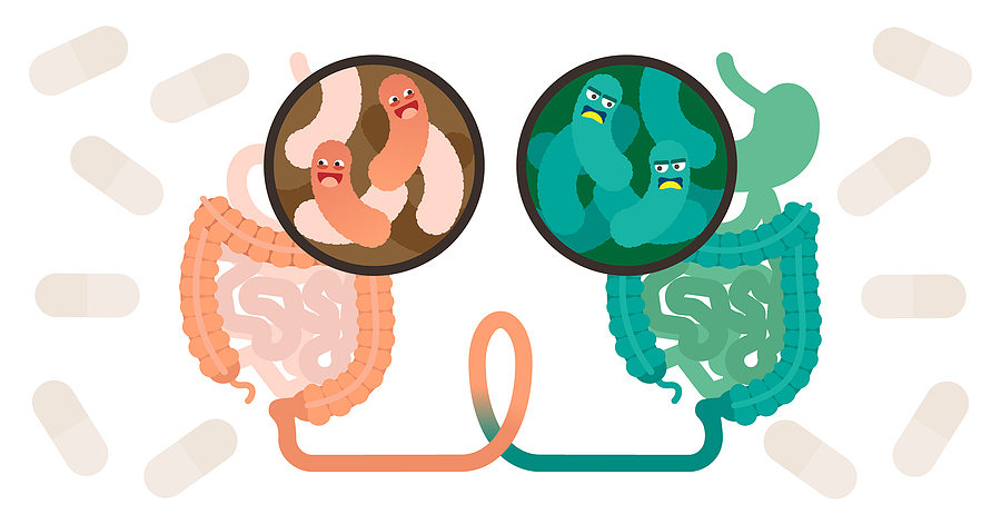 FDA aprueba producto de microbiota fecal para tratar infecciones