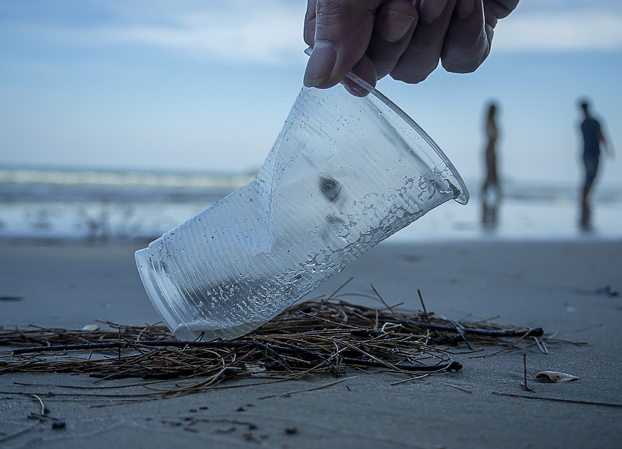 playas materia fecal