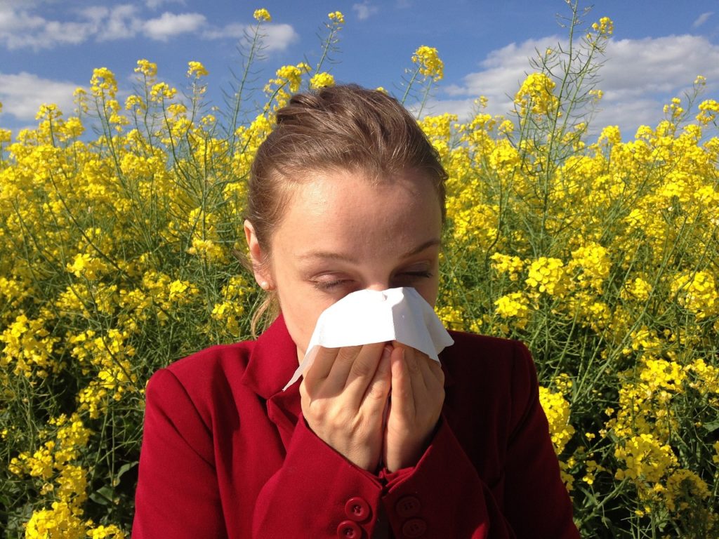 alergia primaveral