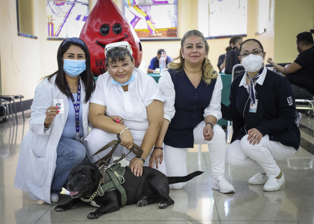 donación de sangre