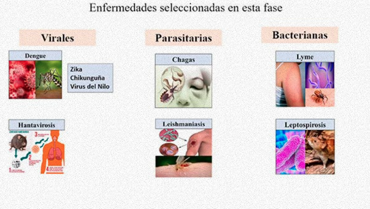 Atlas Enfermedades Infecciosas