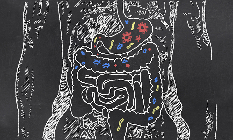 Resistencia a los antimicrobianos, ¿cuáles son los microorganismos más peligrosos?