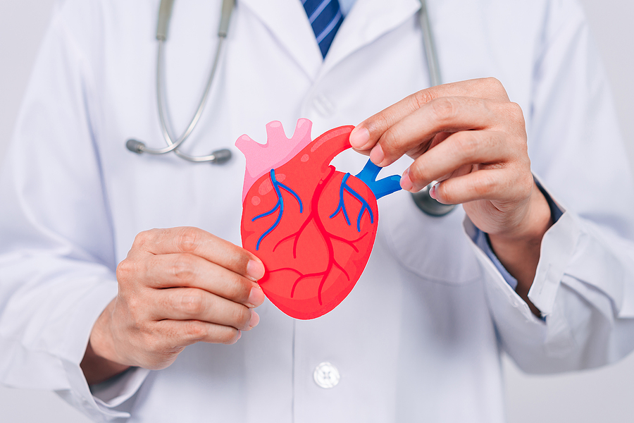 Guía básica para cuidar tu salud cardíaca y tener un corazón sano
