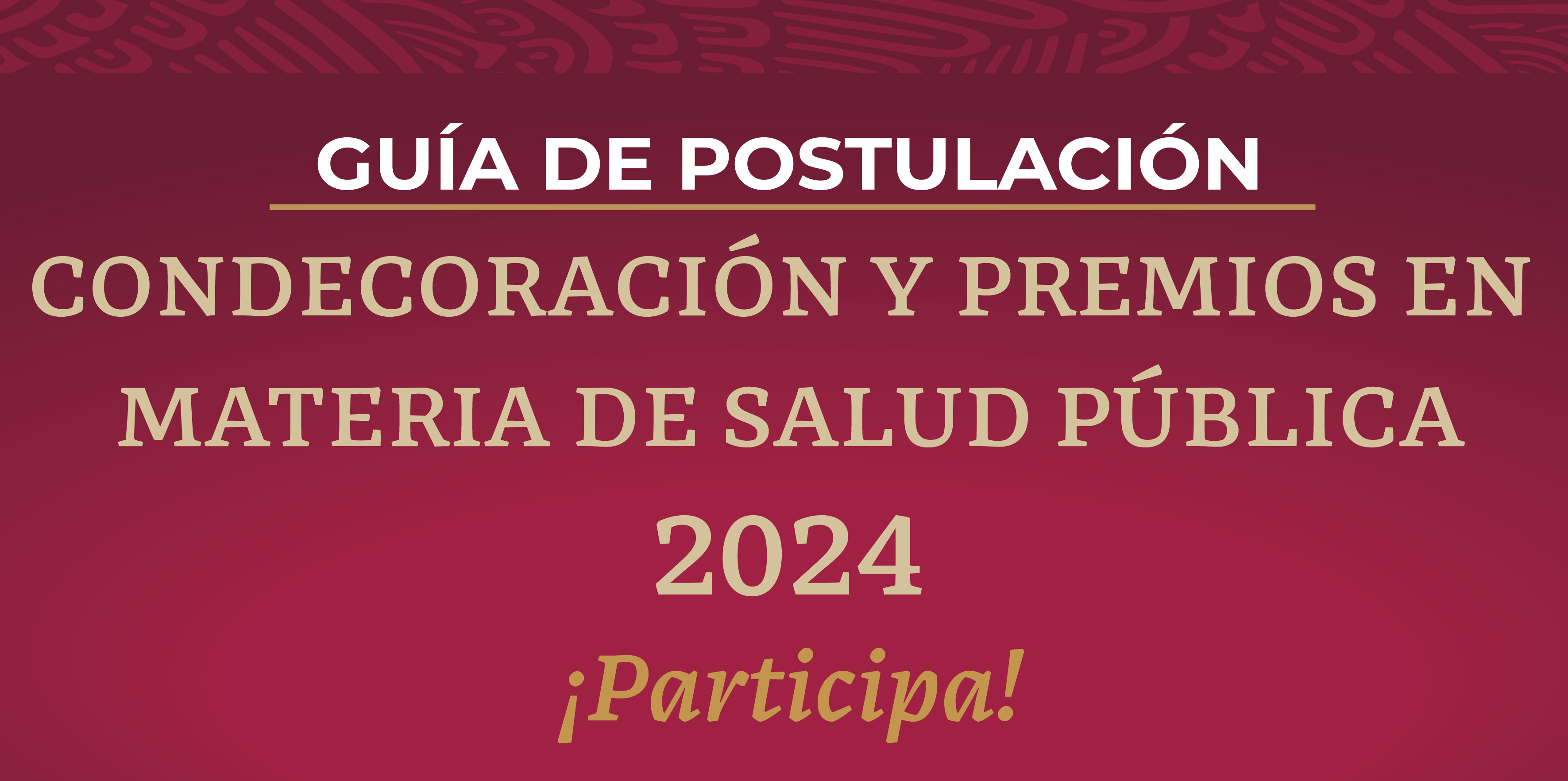 Premios en Salud Pública 2024: Bases y requisitos para participar