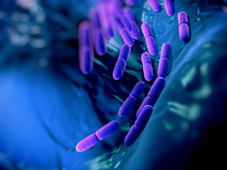 Nueva bacteria “caníbal” causa temor en el mundo: Estreptococo A