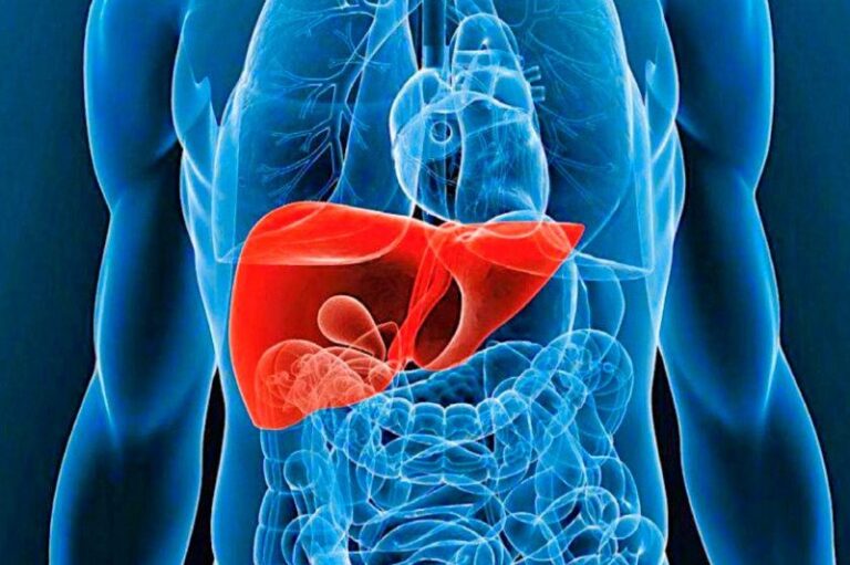 Primer tratamiento para cicatrices hepáticas por hígado graso