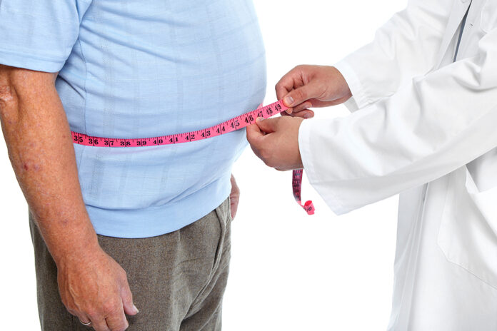 ¿Qué factores generan el desarrollo de la obesidad en una persona?