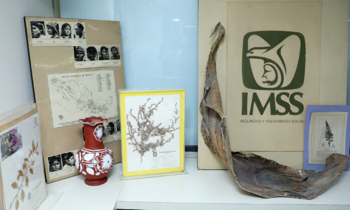 ¿Dónde se encuentra el herbario medicinal más grande del IMSS?