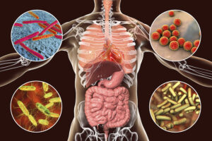 Salmonella en México: Hay rastros de la bacteria en sucursal de “Pollo Matón”