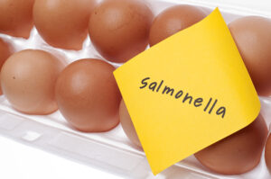 Salmonelosis y amebiasis ¿qué son y cómo se pueden prevenir?