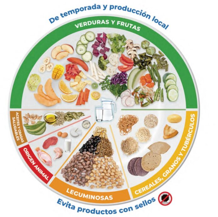 Guías alimentarias, ¿qué son y en dónde se pueden consultar?