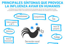 ¿Cuáles son los síntomas de la influenza aviar en humanos?